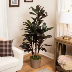 Northlight Potted Two-Toned Artificial Dracaena Plant - 60" Green
