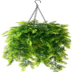 Hanging Curly Seaweed Ferns in Basket - UV Resistant D&eacute;cor