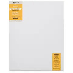 Blick Premier Stretched Cotton Canvas - Gallery Profile, Back-Stapled, 24" x 30"