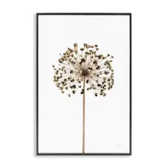 Stupell Industries Minimal Allium Bud Framed Giclee Wall Art Design by Deborah Revell