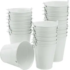 25 Pack 4 Inch White Iron Pail,