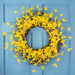 Northlight Forsythia and Grapevine Artificial Floral Wreath - Yellow - 24"