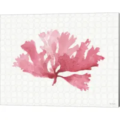 Mixed Greens XXX by Lisa Audit 20" x 16" Canvas Wall Art