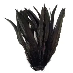 Zucker Rooster Coque Tails Dyed 9"-12" 25/Pkg-Black Iridescent