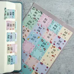 Laminated Planner Monthly Tabs, 24 Peel and Stick Tabs for Notebooks (12 Month Tabs and 12 Blank Tabs), Calendar Monthly Tab Stickers/Dividers (Assorted), Medium