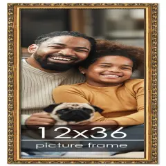 12x36 Museum-Quality Picture Frame with UV-Resistant Acrylic & Acid-Free Backing, Available in 4 Finishes - Gold, Silver, Bronze, and Black