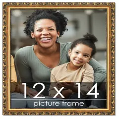 12x14 Museum-Quality Picture Frame with UV-Resistant Acrylic & Acid-Free Backing, Available in 4 Finishes - Gold, Silver, Bronze, and Black