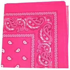 Pack of 3 Paisley 100% Cotton Double Sided Bandana - 22 inches