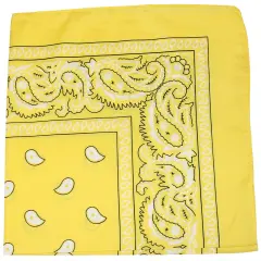 Pack of 600 Mechaly Unisex Paisley Cotton Bandanas - Bulk Wholesale