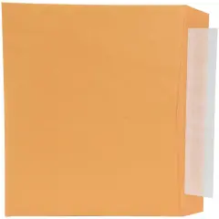 School Smart Kwik-Tak Envelopes, 10 x 13 Inches, 28 lb, Kraft Brown, Box of 100