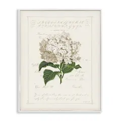 Stupell Industries Vintage Floral Motif Framed Giclee By Jennifer Pugh