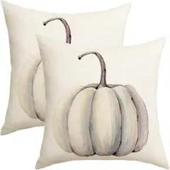 Set Of 2 Fall Decorations White Pumpkin Throw Pillow Covers 20x20