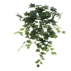 12pcs Hanging English Ivy Bush - 36"