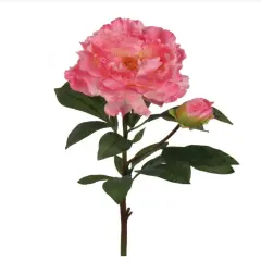 4pc 30" Peony Stem