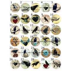 $product['description']['title']}