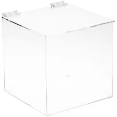 Plymor Clear Acrylic Display Case Box With Hinged Lid