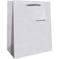 Pack/6: Iridescent Sparkle Gift Bag - 8 x 4 x 10"