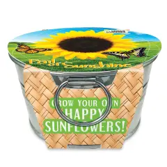 Collections Etc Grow Your Own Sunflower Plant Kit with Metal Pot