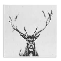 Stupell Industries Stag Sketch in Grey Wall Plaque Art Design by Katrina Craven