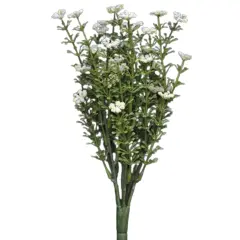 Astilbe Bush With Leafy Stems White