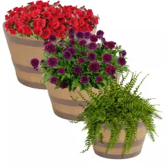 Resin Rustic Cask Outdoor Planter 13 in, 15 in, 17 in - Set of 3