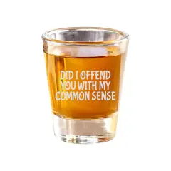 2oz Did I offend you with my common sense Shot Glass