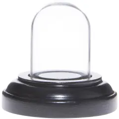 Plymor Miniature 1" x 1.5" Mini Glass Display Dome TINY Cloche Black Wood Veneer