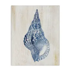 Stupell Industries Tranquil Blue Shell Canvas Design by Susan Arnot