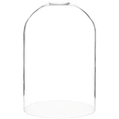 Plymor 8" x 12" Glass Display Dome Cloche No Base