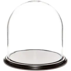 Plymor 11.75" x 12" Glass Display Dome Cloche Black Wood Veneer