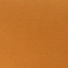 APRICOT JAM - Textured 12x12 Cardstock - Encore Paper