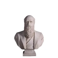 Darwin Stone Bust Life Size Statue