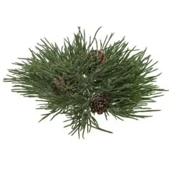 Mugo Pine Orb-Green