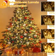 Fairy Lights for Holiday Decor