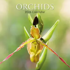 The Gifted Stationary 2026 Square Wall Calendar, Orchids, 16-Month Floral Theme with 180 Reminder Stickers (12x12 In) Multicolor