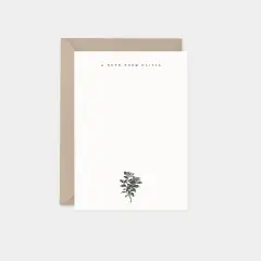 Camellia Japonica Botanical Note Cards