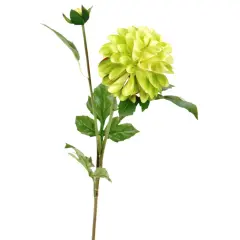 25" Artificial Green Dahlia Stem with Bud - Faux Flower for Arrangements & Home Decor-277341
