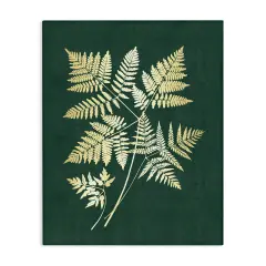 Stupell Industries Fern Leaves on Green Canvas Wall Art Design by JJ Design House LLC