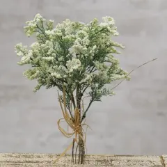 Mini Baby's Breath Pick Cream