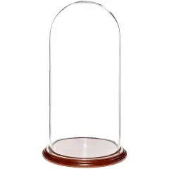 Plymor 9.75" x 20" Glass Display Dome Cloche Walnut Veneer