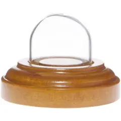 Plymor Miniature 1" x 1" Mini Glass Display Dome TINY Cloche Oak Veneer
