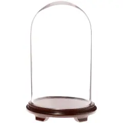 Plymor 11.75" x 20" Glass Display Dome Cloche Walnut Wood Veneer