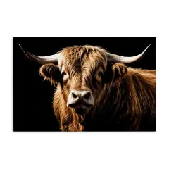 Stupell Industries Bold Contrast Cattle Portrait Canvas By Susan Arnot