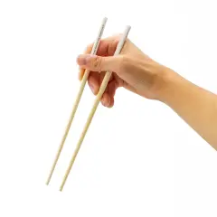 Fortune GAMAGO Cast Bamboo Chopsticks | Set of 4