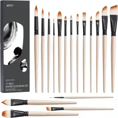 Watercolor Brush Set, 17 Pcs Professional Paint Brushes with Case for Beginners and Artists, Various Shapes, Optimized Hairs for Watercolor, Gouache, Ink, Tempera, and Fabric Painting