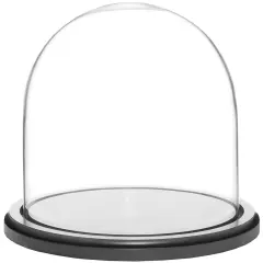 Plymor 8" x 8" Glass Display Dome Cloche Black Wood