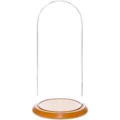 Plymor 5.5" x 13" Glass Display Dome Cloche Oak Veneer