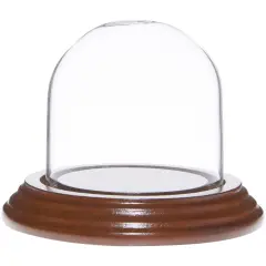 Plymor 2.5" x 2.5" Small Glass Display Dome Cloche Walnut Veneer