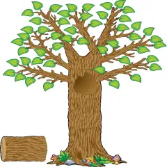 Seasonal Tree Bulletin Board Display Set (4405), Multi Color