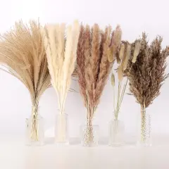 75Pcs Pampas Grass Decor for Fall